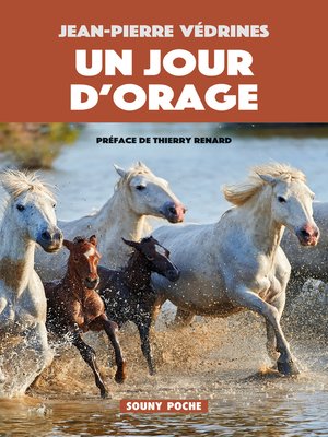 cover image of Un Jour d'orage
